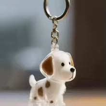 "Cápsula del Recuerdo" Llavero Cápsula Recuerdo de Pelo de Mascota – Para Perros y Gatos